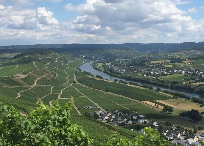 Restaurant Zum Felsenkeller Hotel Sohren